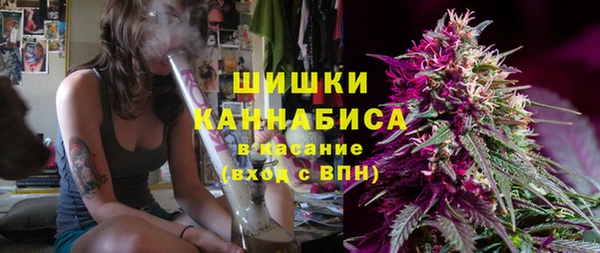 соль ск Богданович