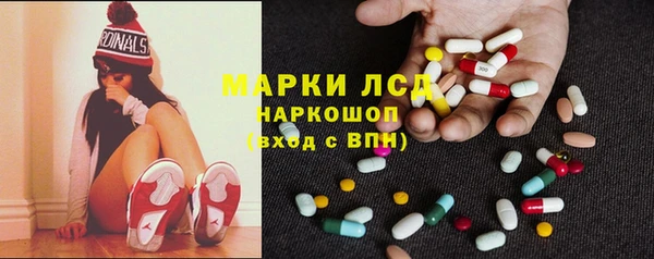 соль ск Богданович