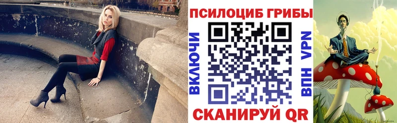 Галлюциногенные грибы Psilocybe  Новая Усмань 